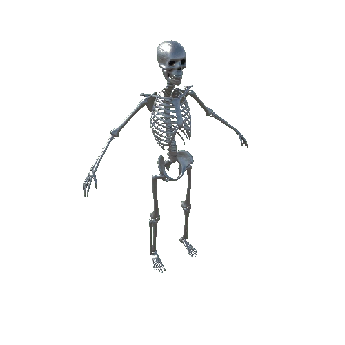 Iron_Skeleton Variant